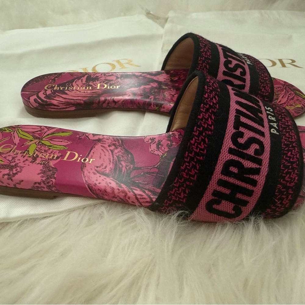 Christian Dior Dway Slide Rani Pink with Toile De Jouy Voyage Motif - Picture 2 of 4
